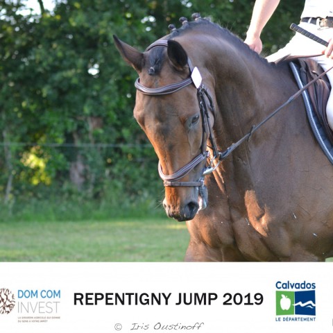 15. Grand Prix 105 - 2019