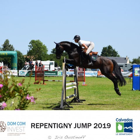 7. Grand Prix 135 - 2019