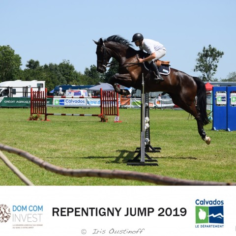 7. Grand Prix 135 - 2019