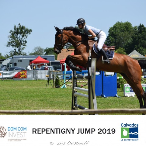 7. Grand Prix 135 - 2019