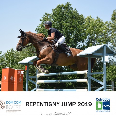 7. Grand Prix 135 - 2019