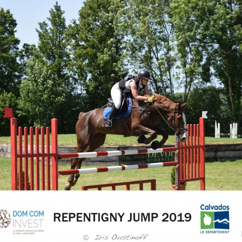 9. Grand Prix 115 - 2019