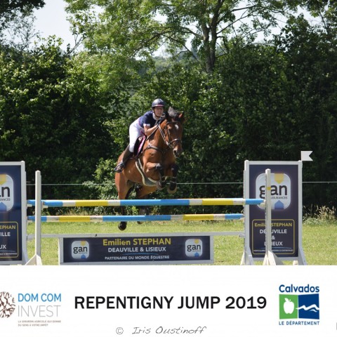 9. Grand Prix 115 - 2019