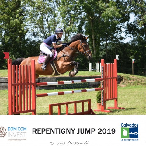 9. Grand Prix 115 - 2019