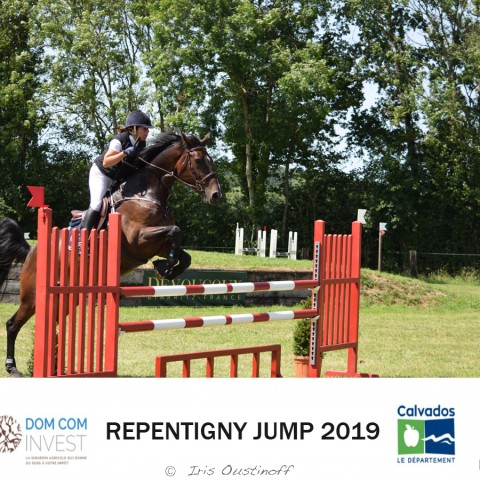 9. Grand Prix 115 - 2019