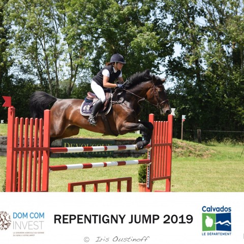9. Grand Prix 115 - 2019