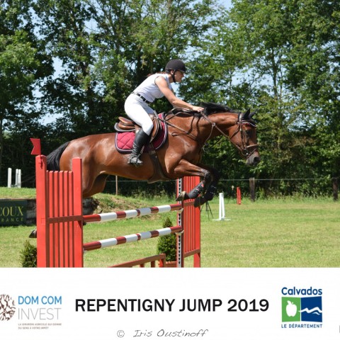 9. Grand Prix 115 - 2019