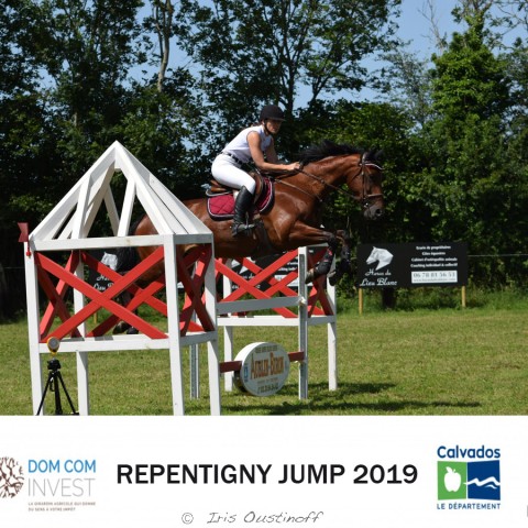 9. Grand Prix 115 - 2019