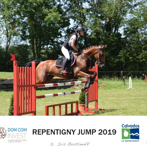 9. Grand Prix 115 - 2019