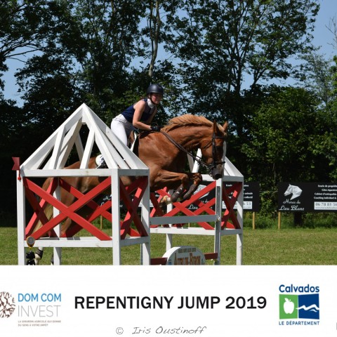 9. Grand Prix 115 - 2019