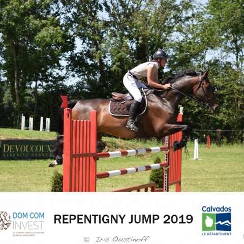 9. Grand Prix 115 - 2019