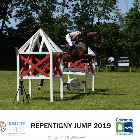 9. Grand Prix 115 - 2019