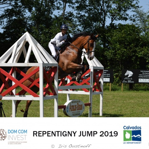 9. Grand Prix 115 - 2019