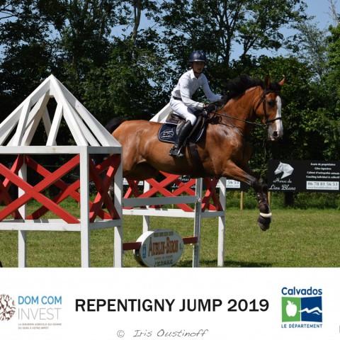 9. Grand Prix 115 - 2019