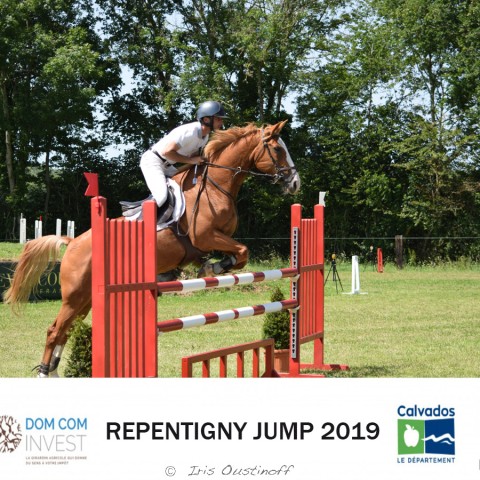 9. Grand Prix 115 - 2019