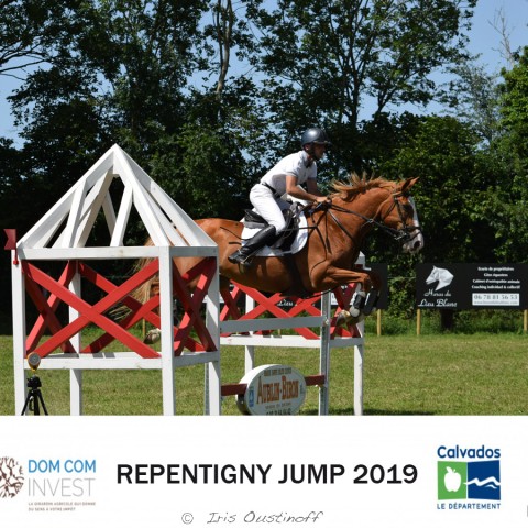 9. Grand Prix 115 - 2019