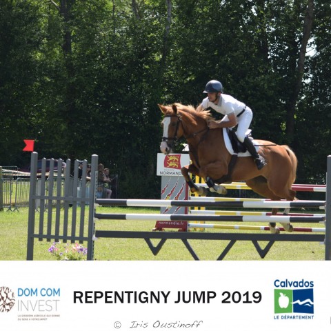 9. Grand Prix 115 - 2019