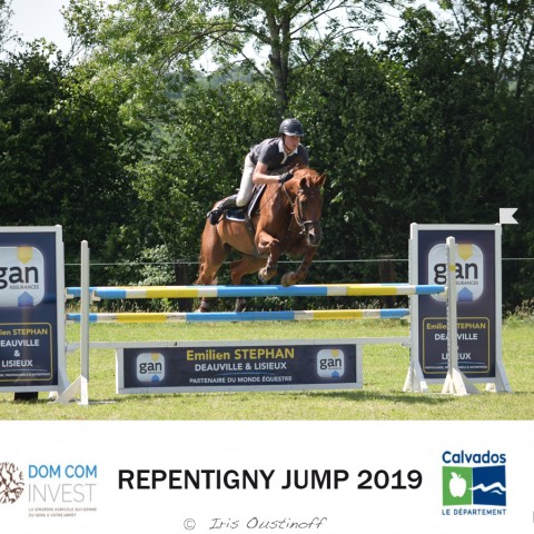 9. Grand Prix 115 - 2019