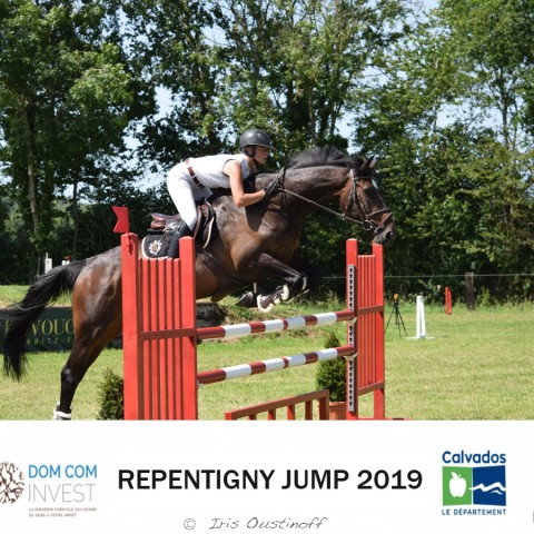9. Grand Prix 115 - 2019
