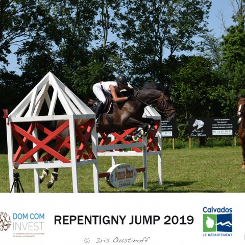 9. Grand Prix 115 - 2019