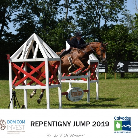 9. Grand Prix 115 - 2019