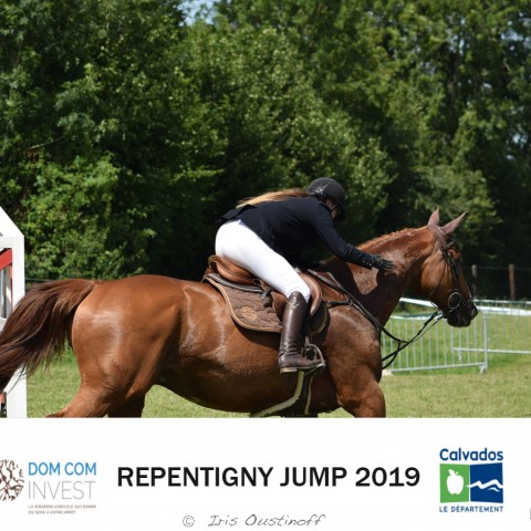 9. Grand Prix 115 - 2019