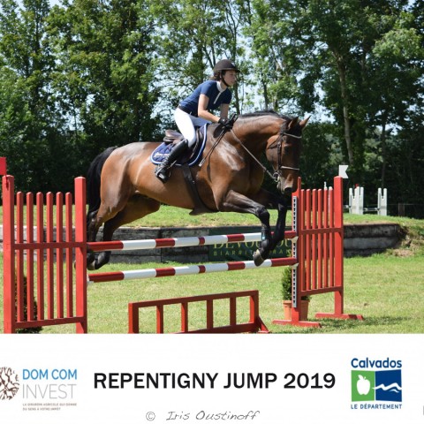 9. Grand Prix 115 - 2019