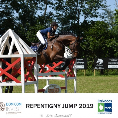 9. Grand Prix 115 - 2019