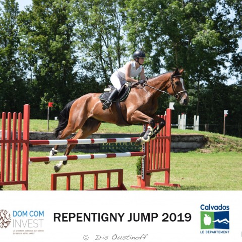 9. Grand Prix 115 - 2019