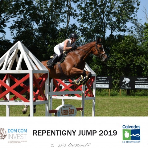9. Grand Prix 115 - 2019