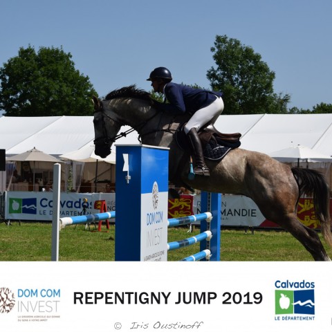 9. Grand Prix 115 - 2019