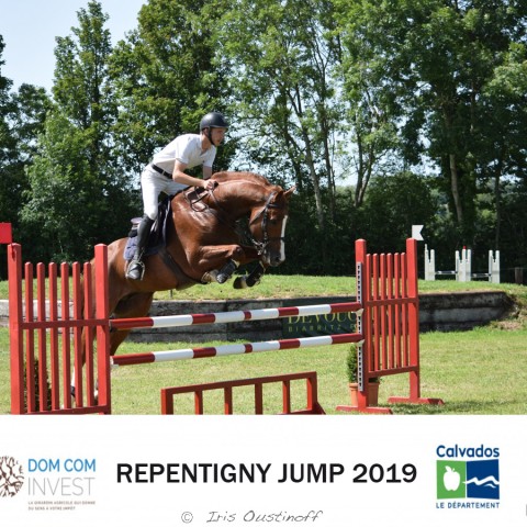 9. Grand Prix 115 - 2019