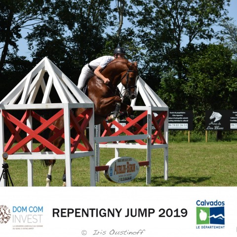 9. Grand Prix 115 - 2019