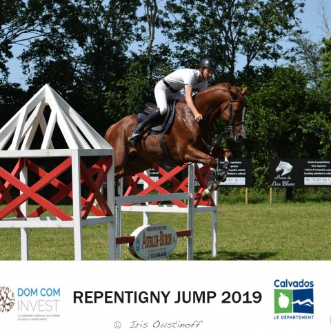 9. Grand Prix 115 - 2019