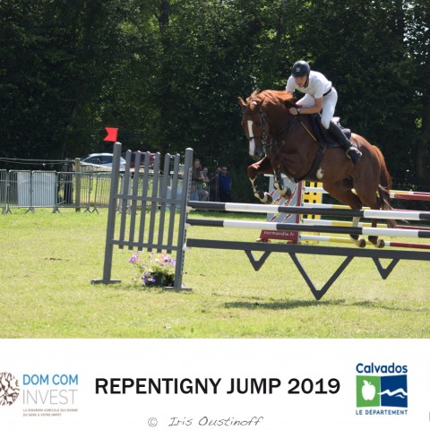 9. Grand Prix 115 - 2019