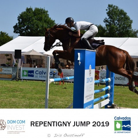 9. Grand Prix 115 - 2019