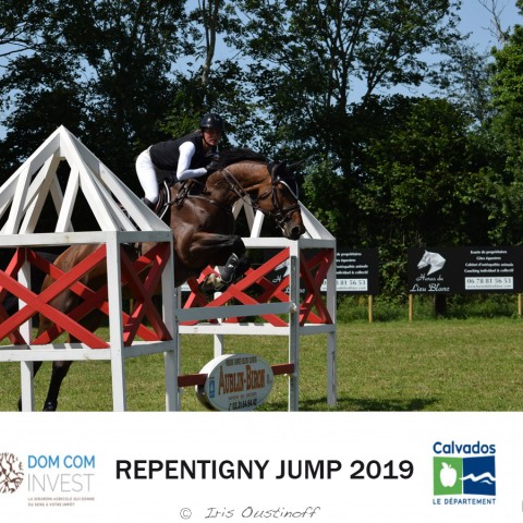 9. Grand Prix 115 - 2019