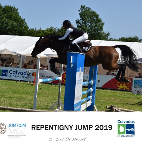 9. Grand Prix 115 - 2019