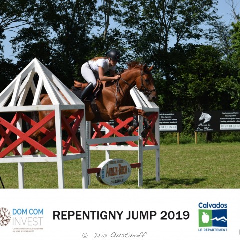 9. Grand Prix 115 - 2019