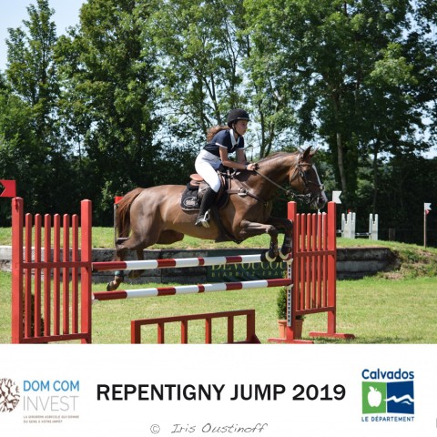 9. Grand Prix 115 - 2019