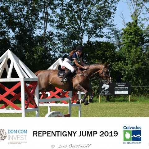 9. Grand Prix 115 - 2019