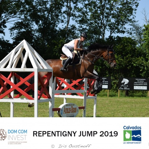 9. Grand Prix 115 - 2019