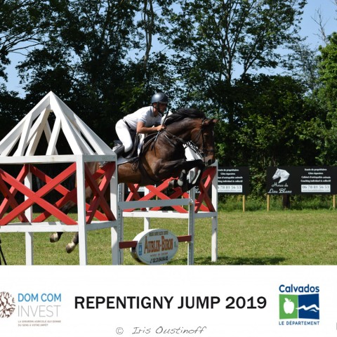9. Grand Prix 115 - 2019