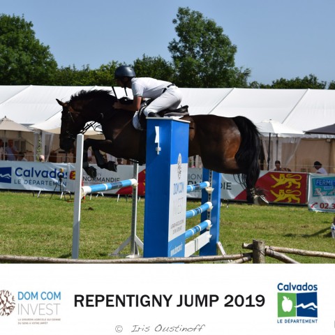 9. Grand Prix 115 - 2019