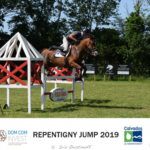 9. Grand Prix 115 - 2019