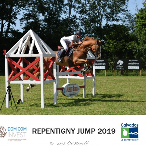  9. Grand Prix 115 - 2019