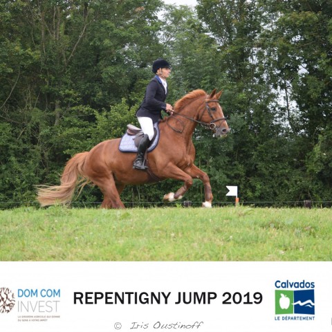 12. Derby 110 - 2019