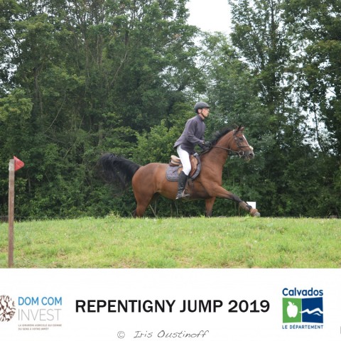 12. Derby 110 - 2019