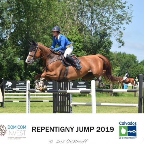 13. Grand Prix 135 - 2019