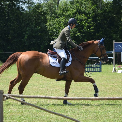 13. Grand Prix 135 - 2019